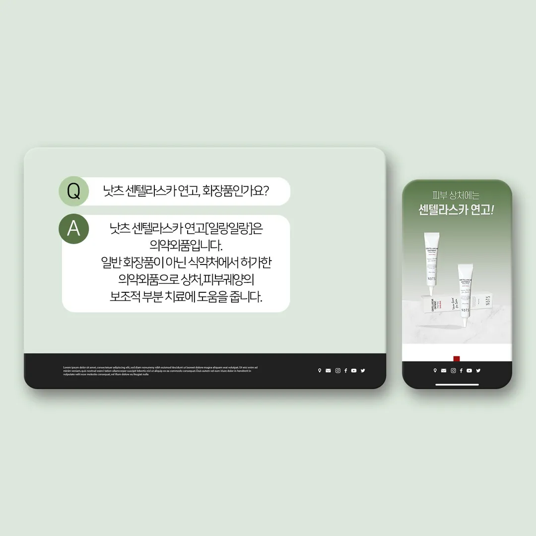 이미지 11