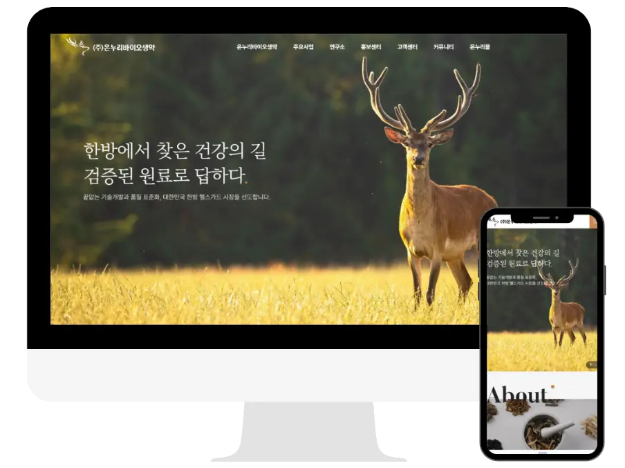 이미지 3