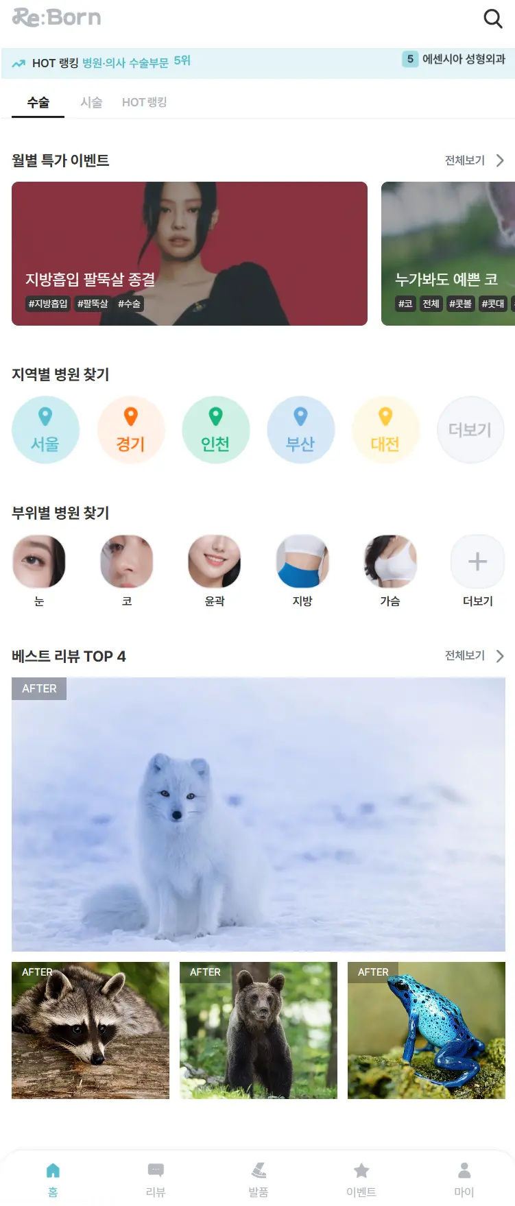 포트폴리오 이미지