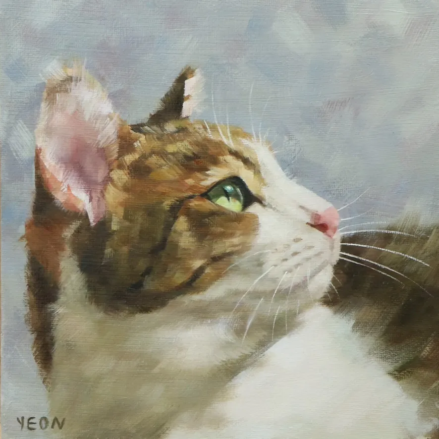 이미지 7