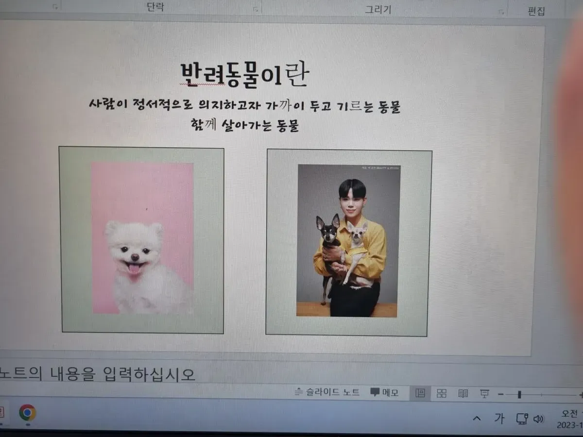 이미지 3