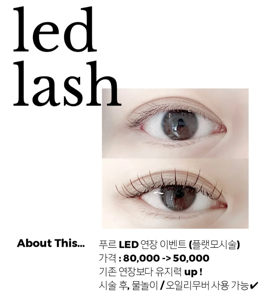 이미지 4
