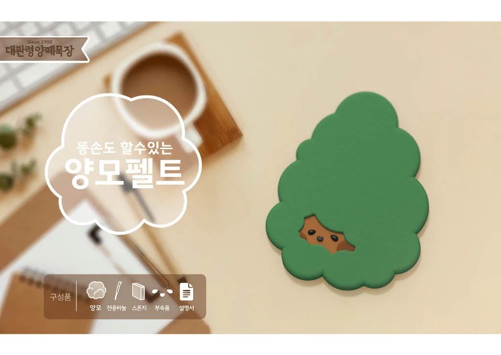 이미지 5