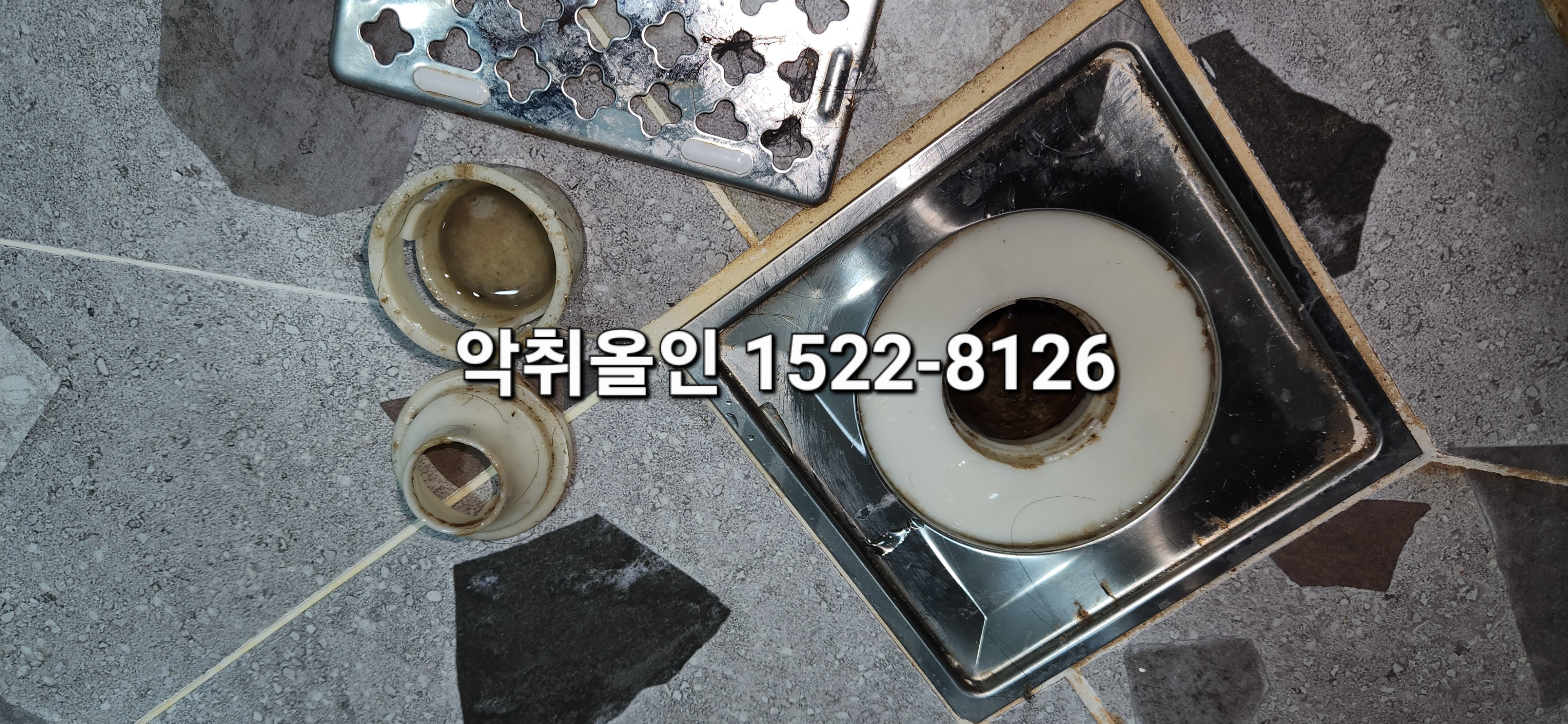 이미지 5