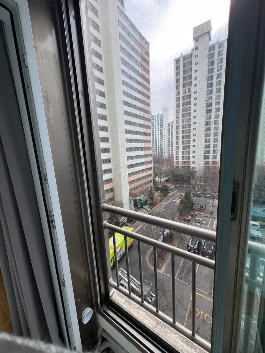 이미지 13