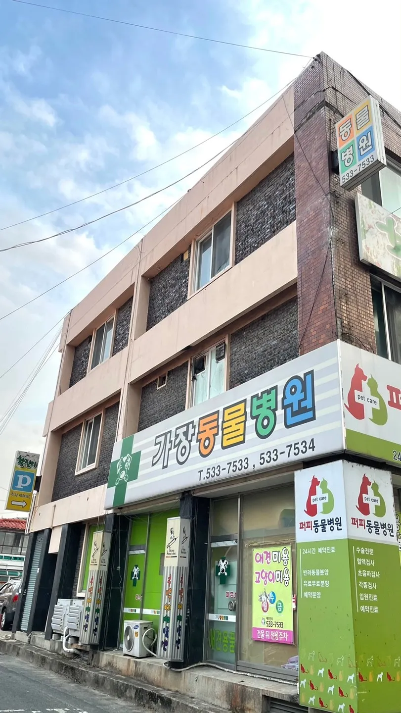 이미지 4