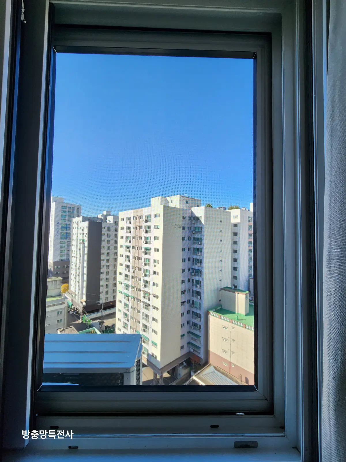 이미지 20