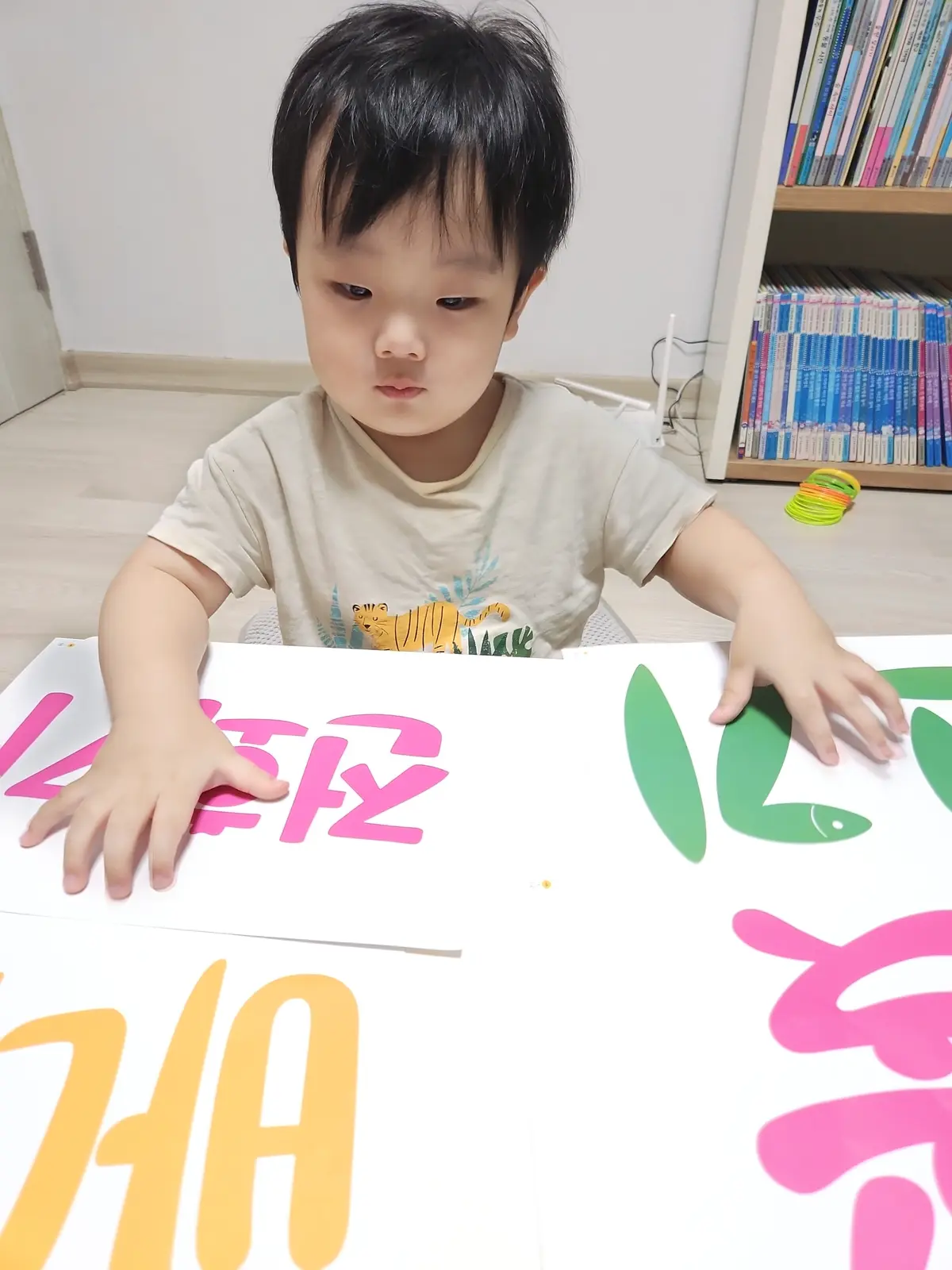 이미지 8