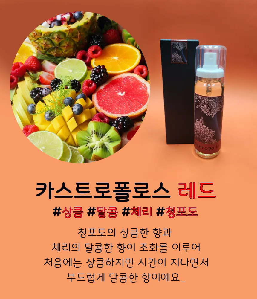 이미지 6