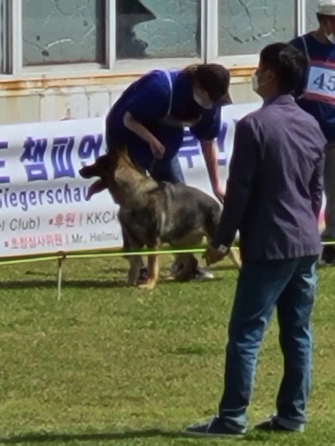 이미지 9