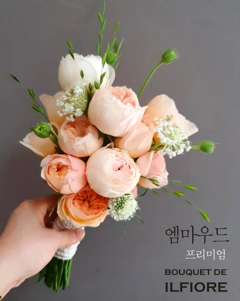 이미지 9