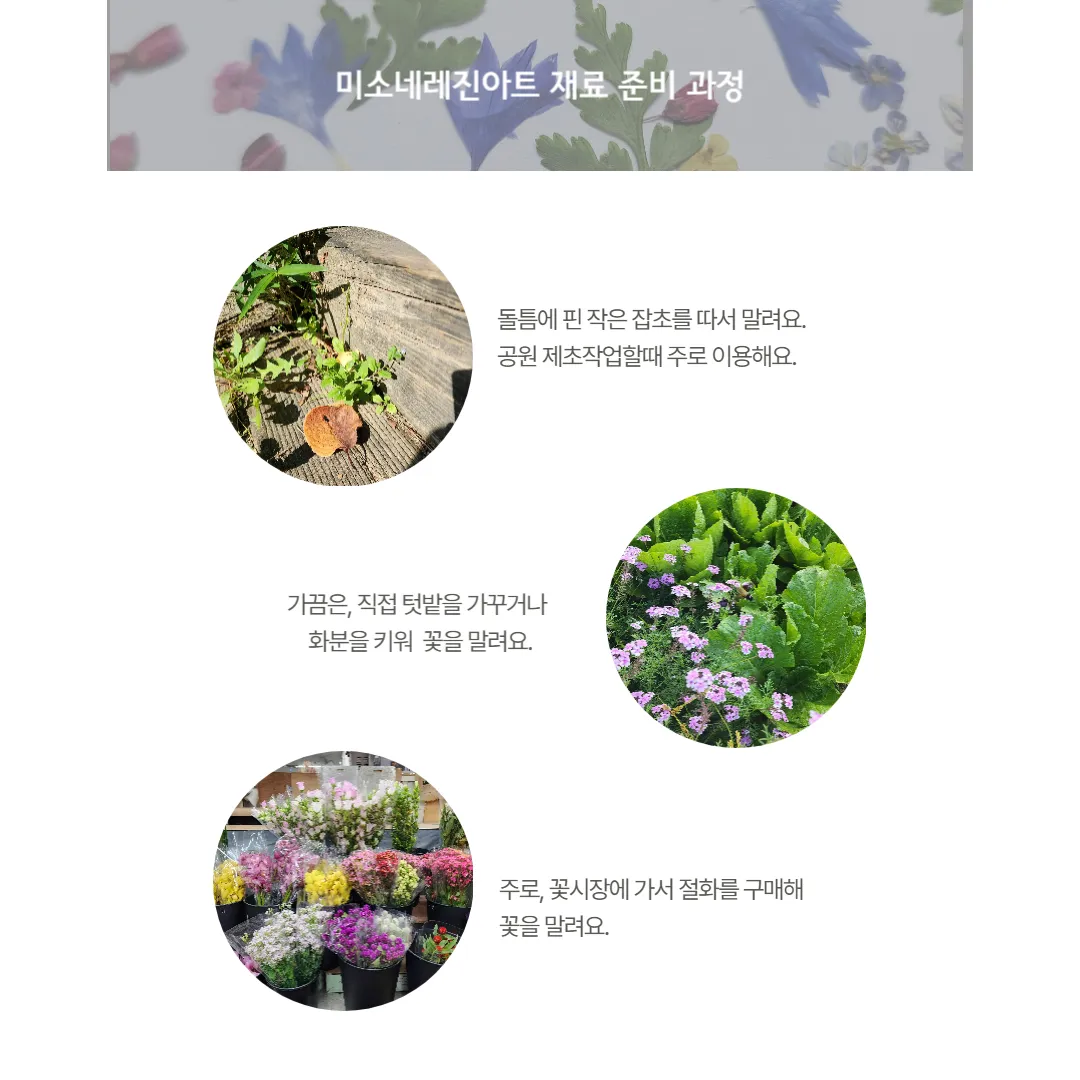 이미지 7