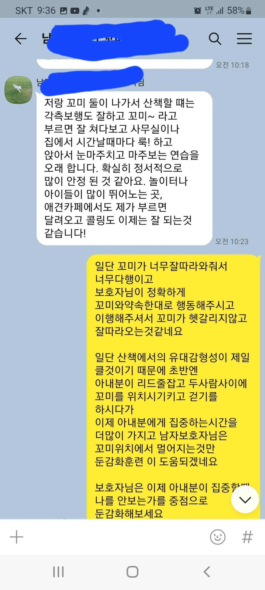 이미지 4