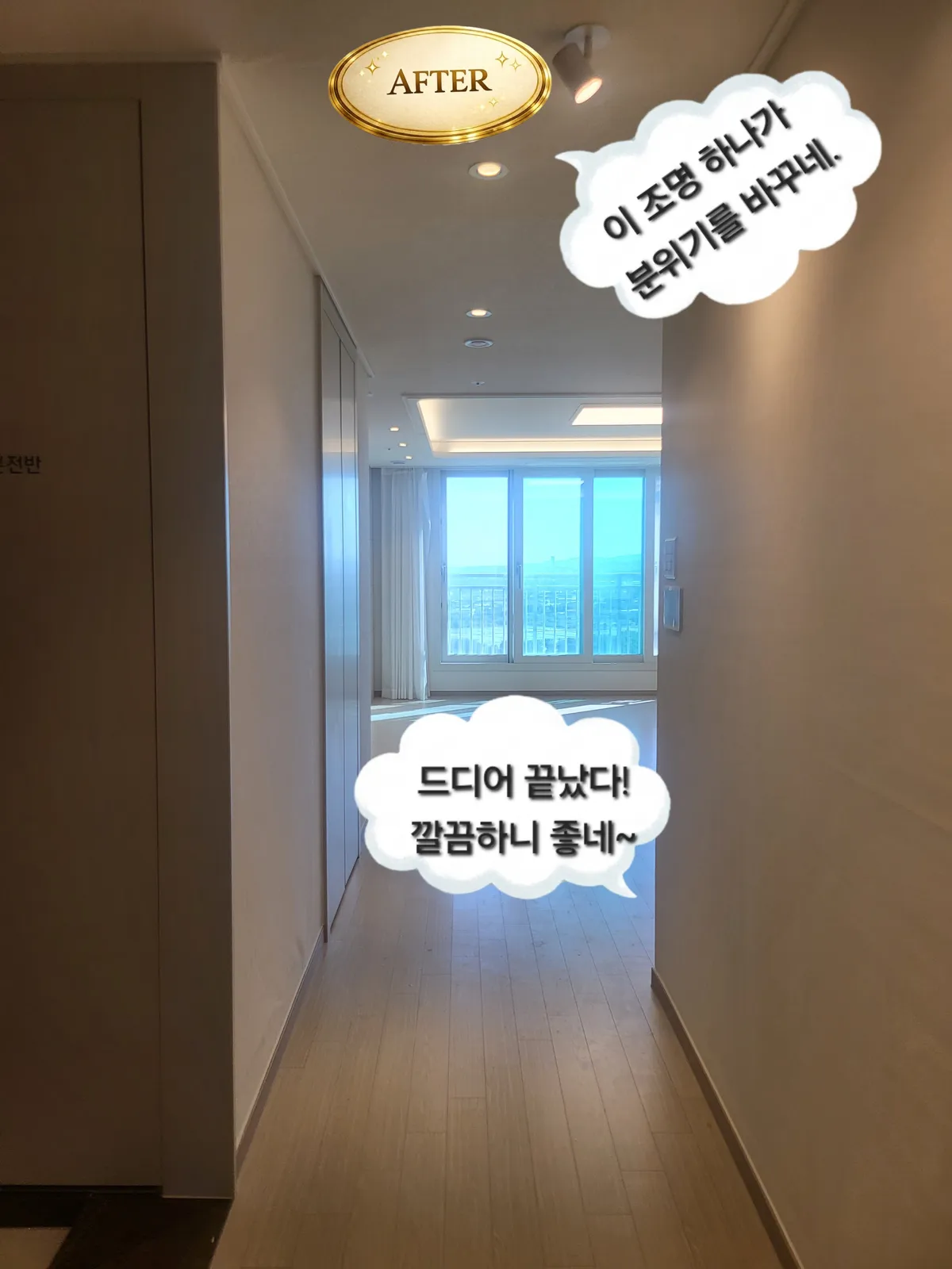 이미지 6