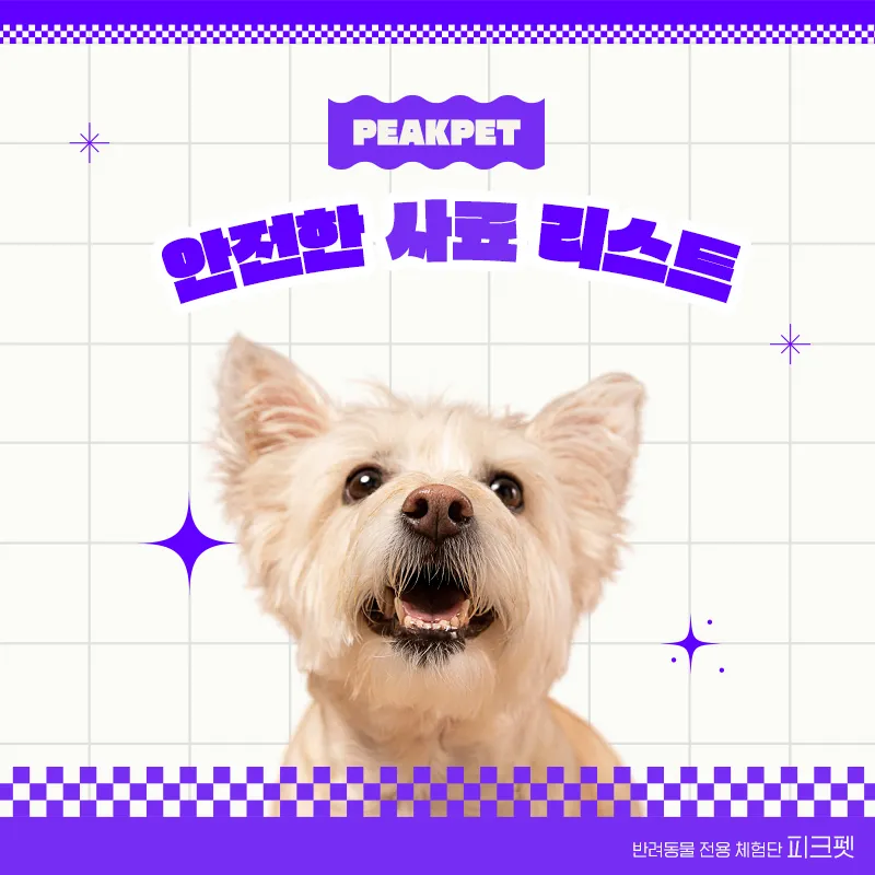 이미지 5