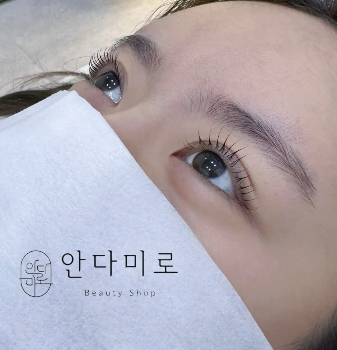 이미지 6