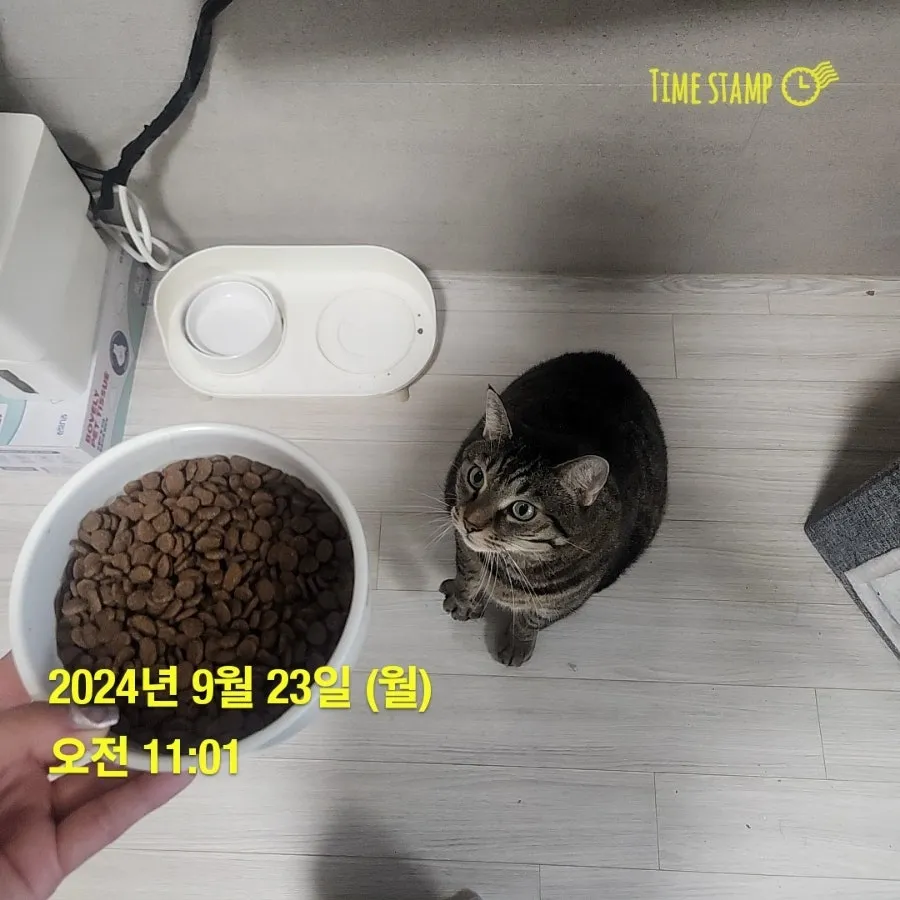 이미지 3