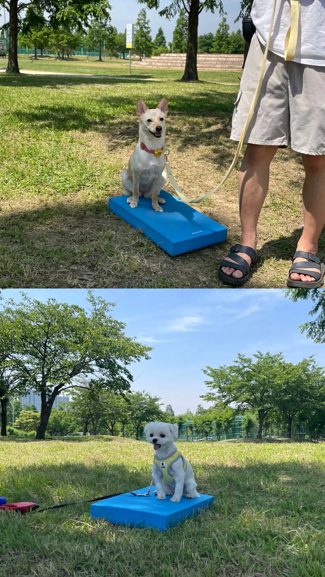 이미지 4