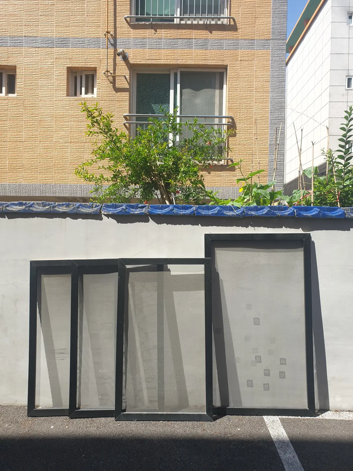 이미지 5