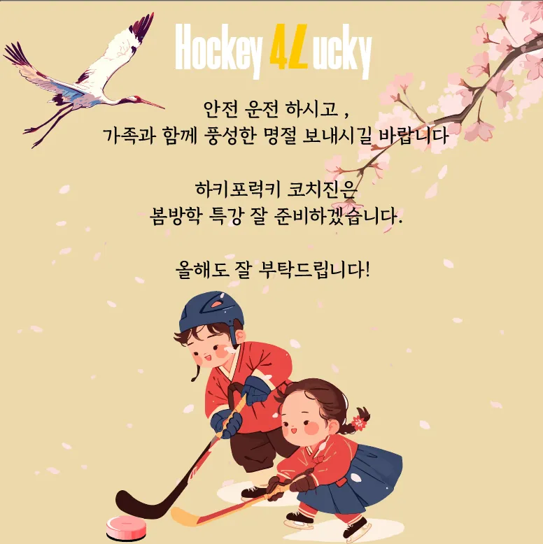 이미지 11