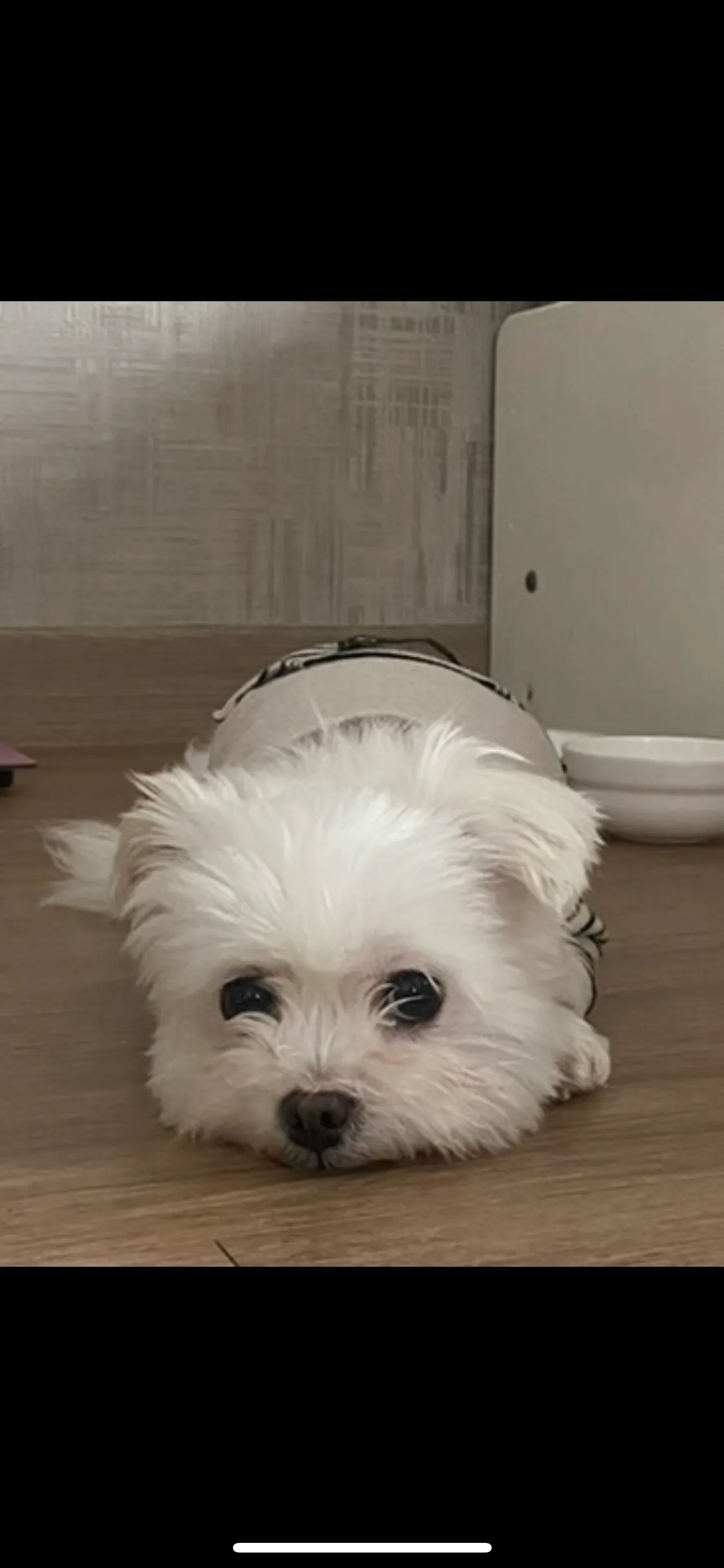 이미지 6
