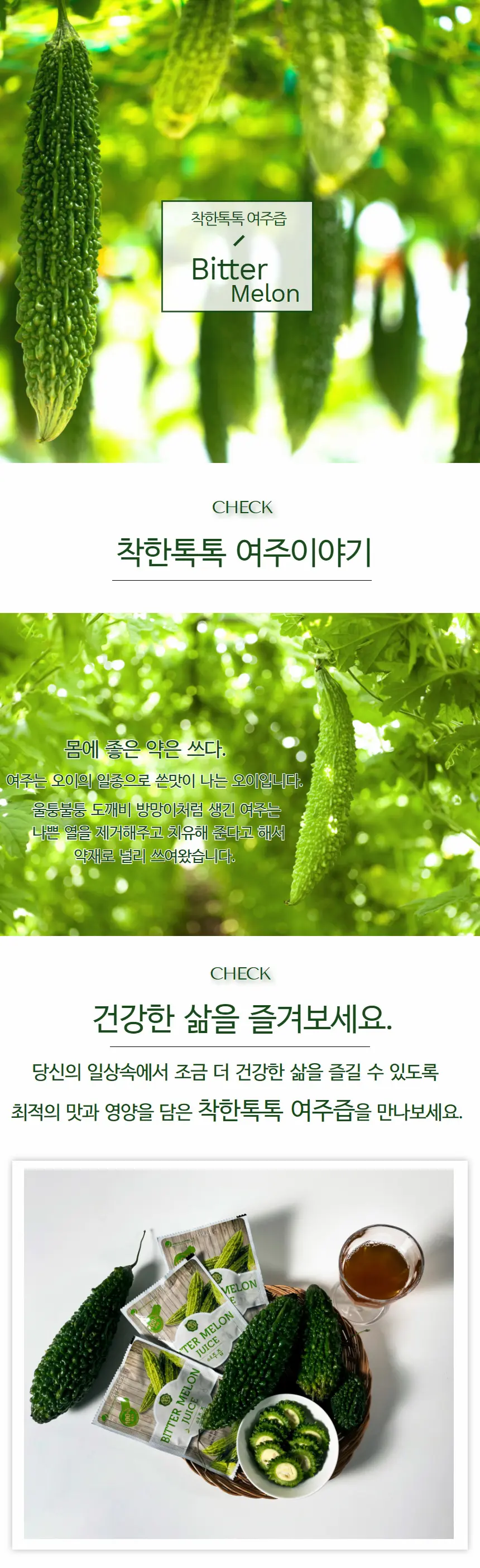 이미지 3