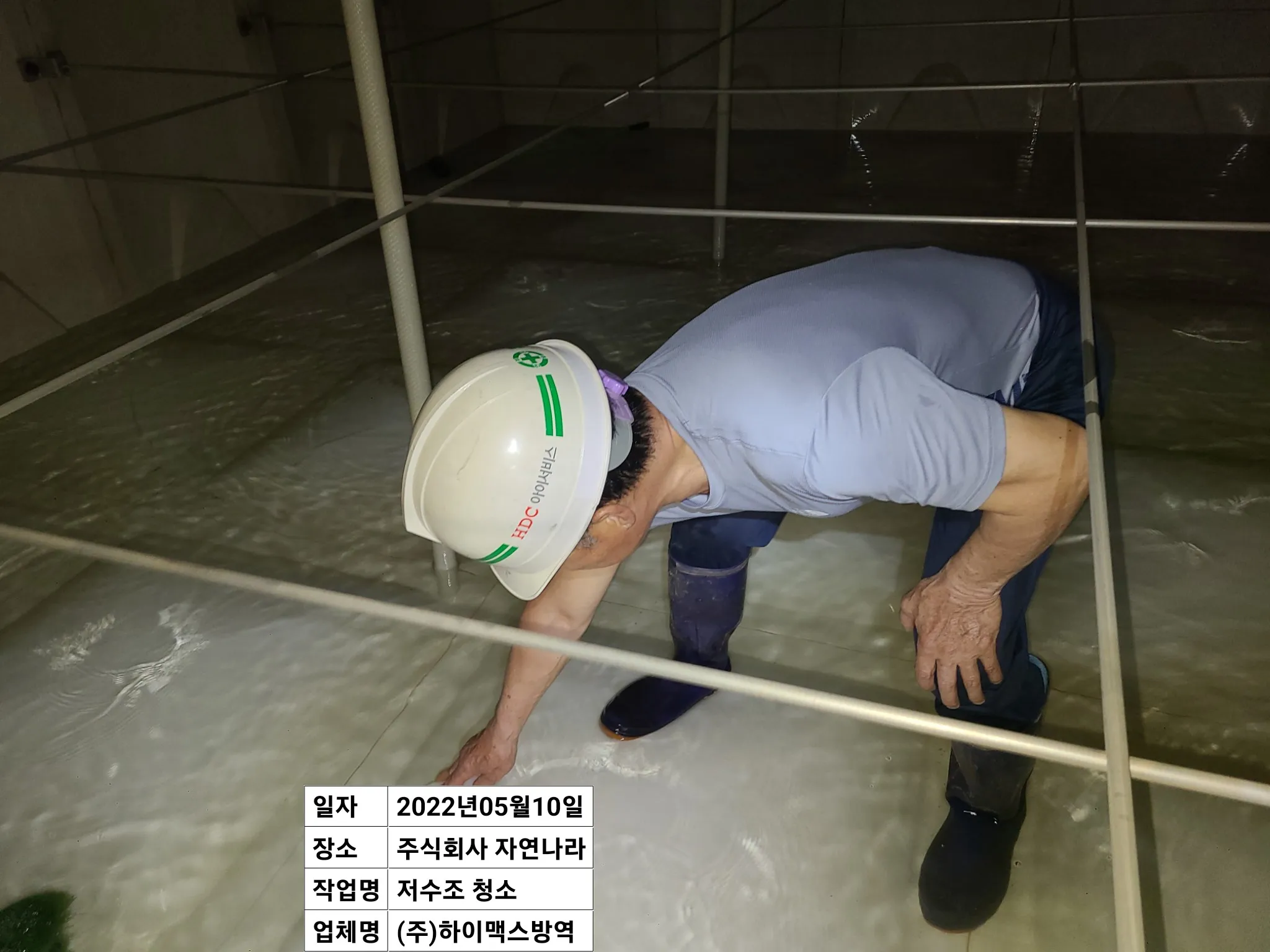 깨끗한 물.. / (주) 하이앤맥스 소나무전지 ㆍ저수조 청소ㆍ에어컨 청소 - 숨고, 숨은고수 깨끗한 물..