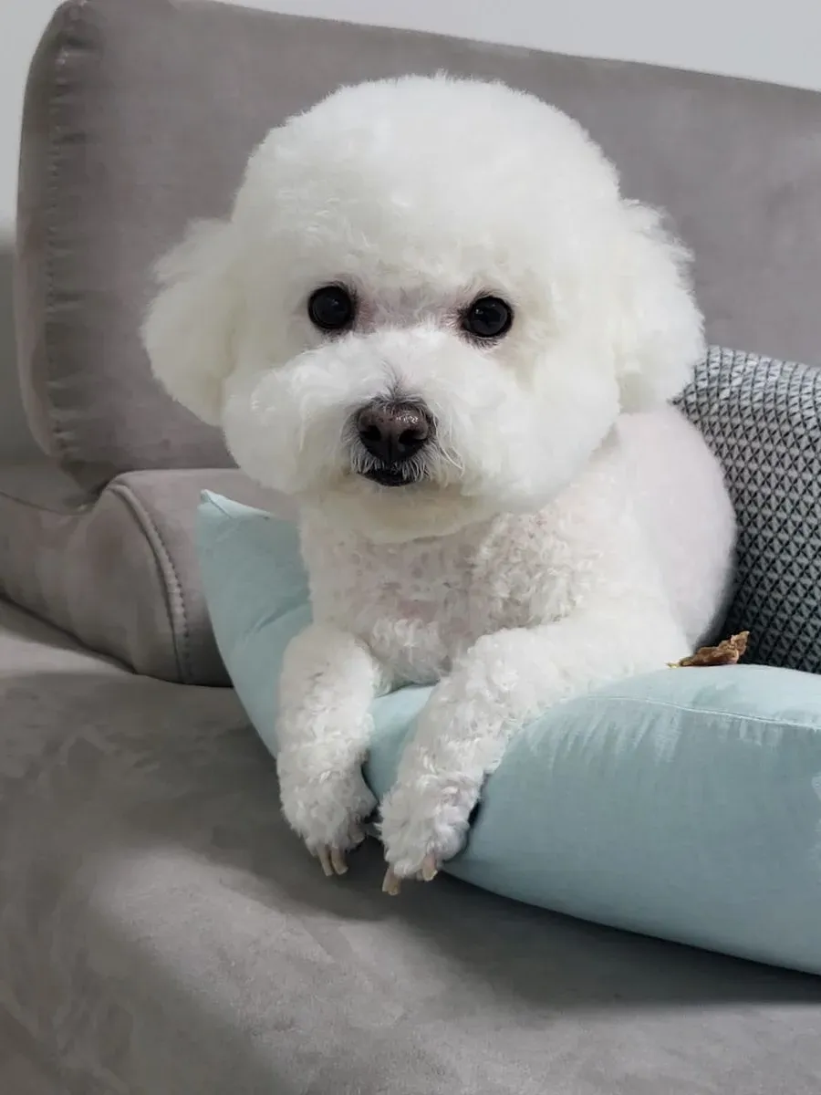 이미지 7