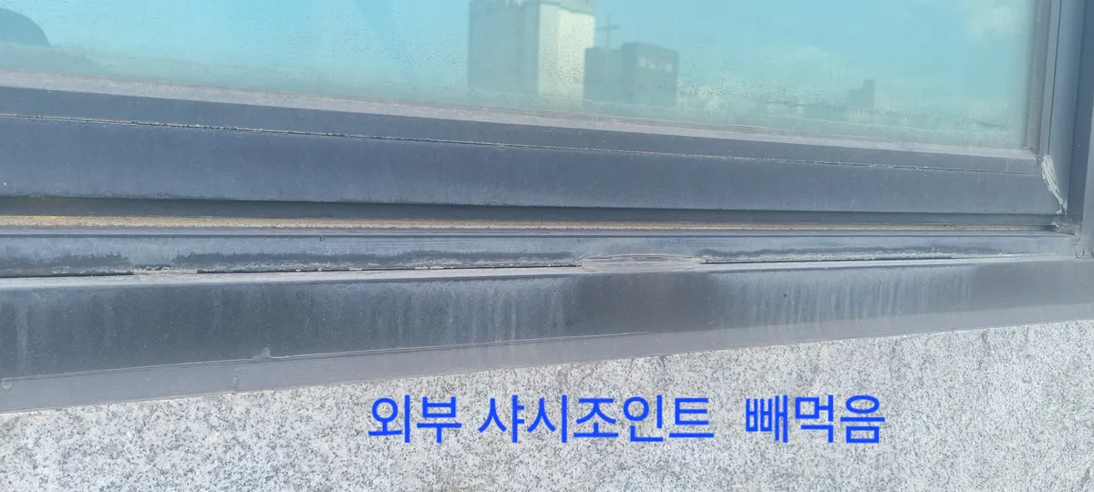 이미지 6