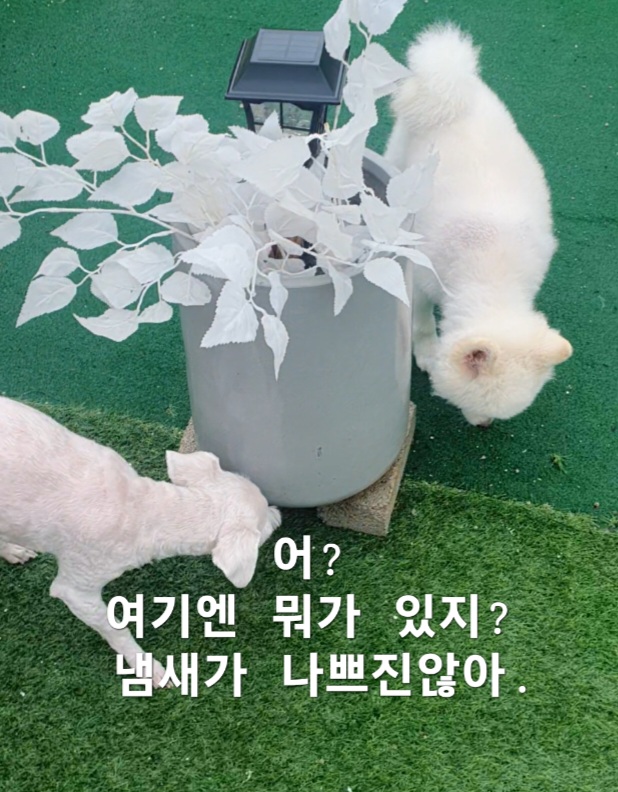 이미지 5