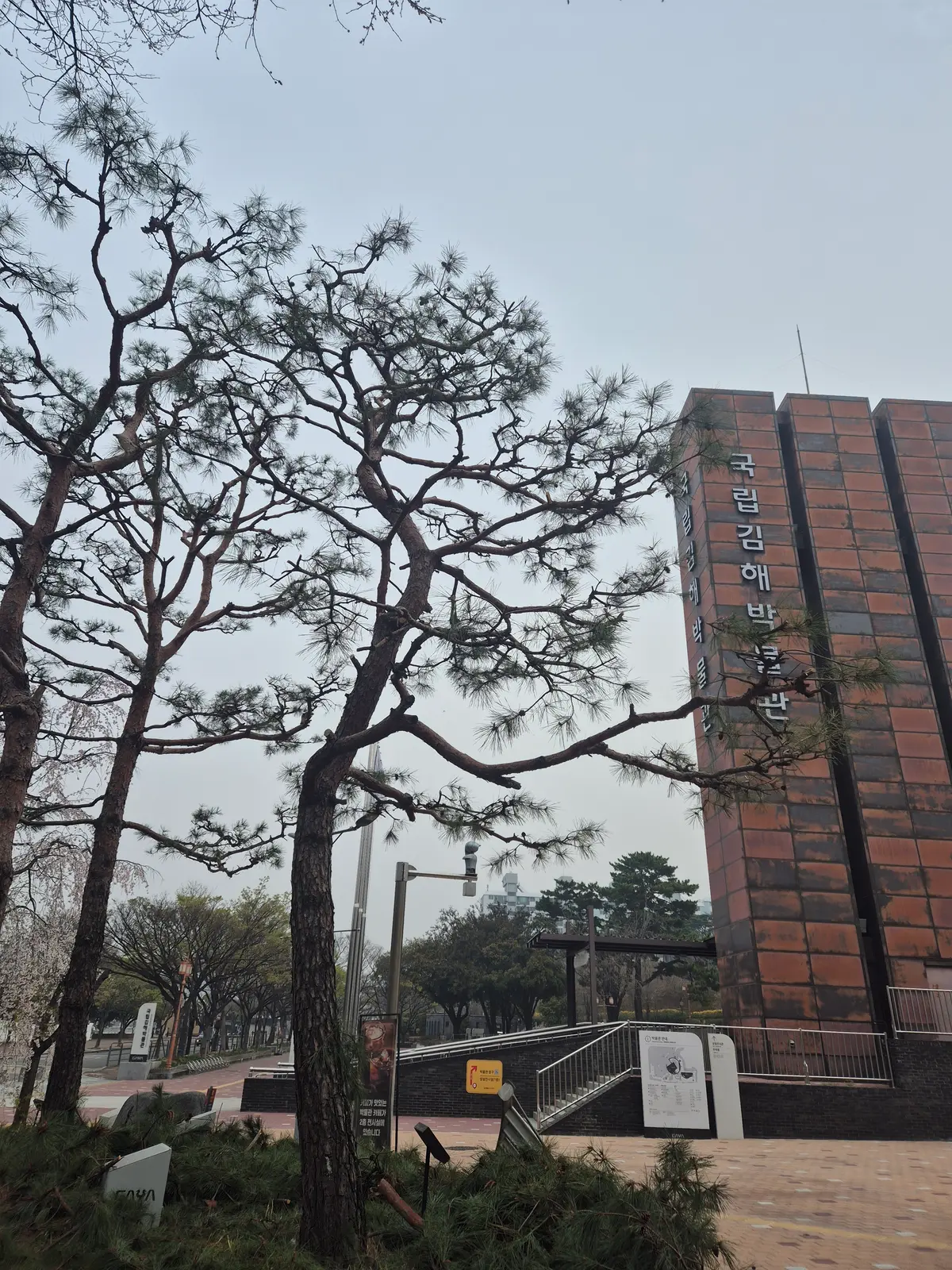 이미지 11