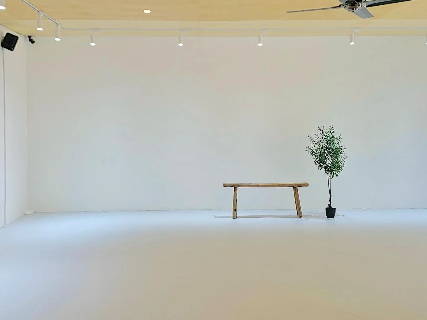 이미지 8