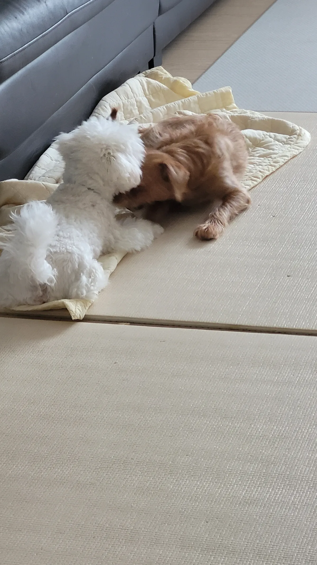 이미지 9
