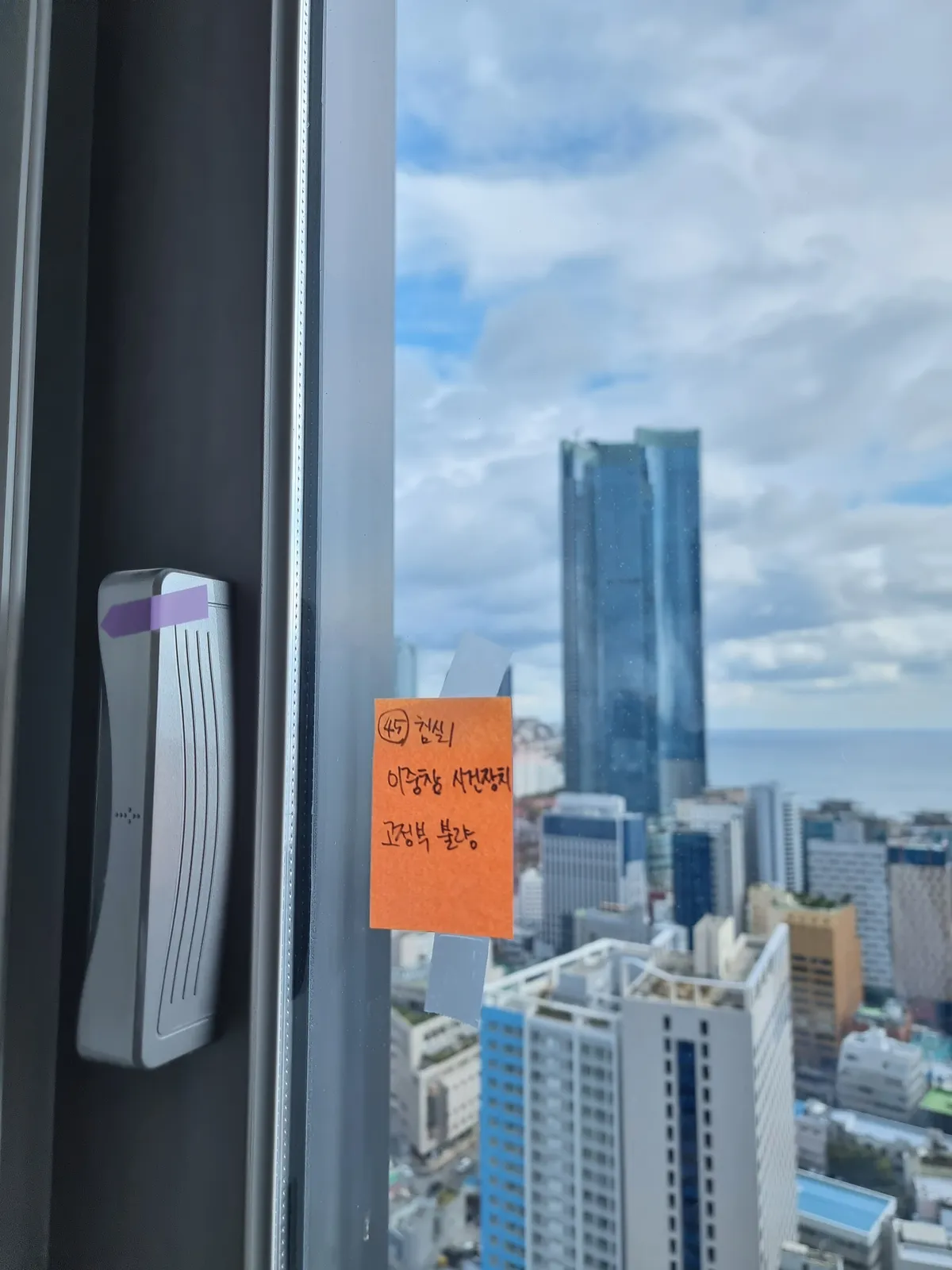 이미지 12