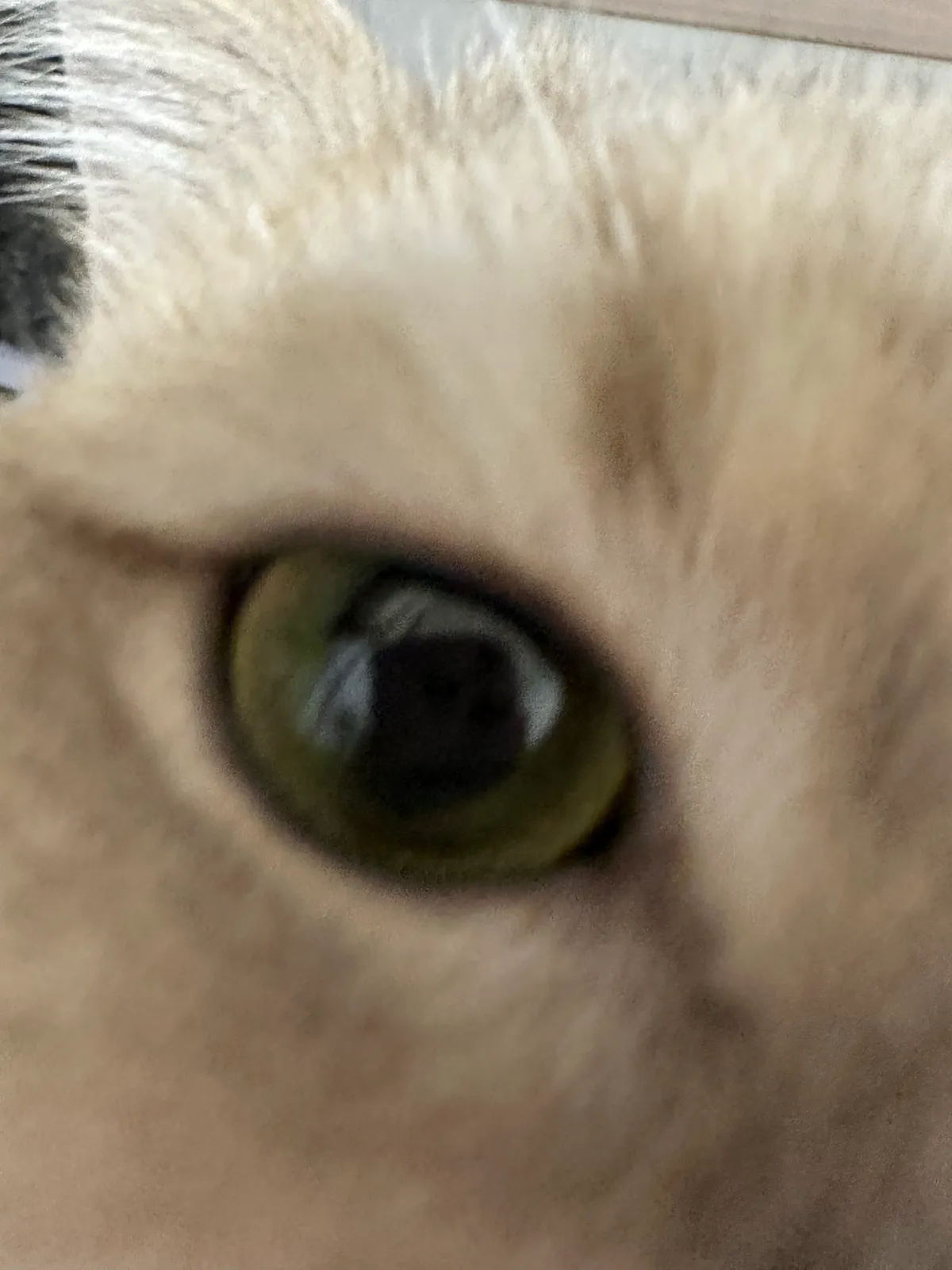 이미지 2