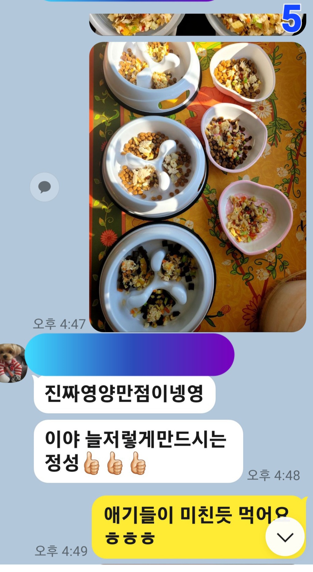 이미지 7