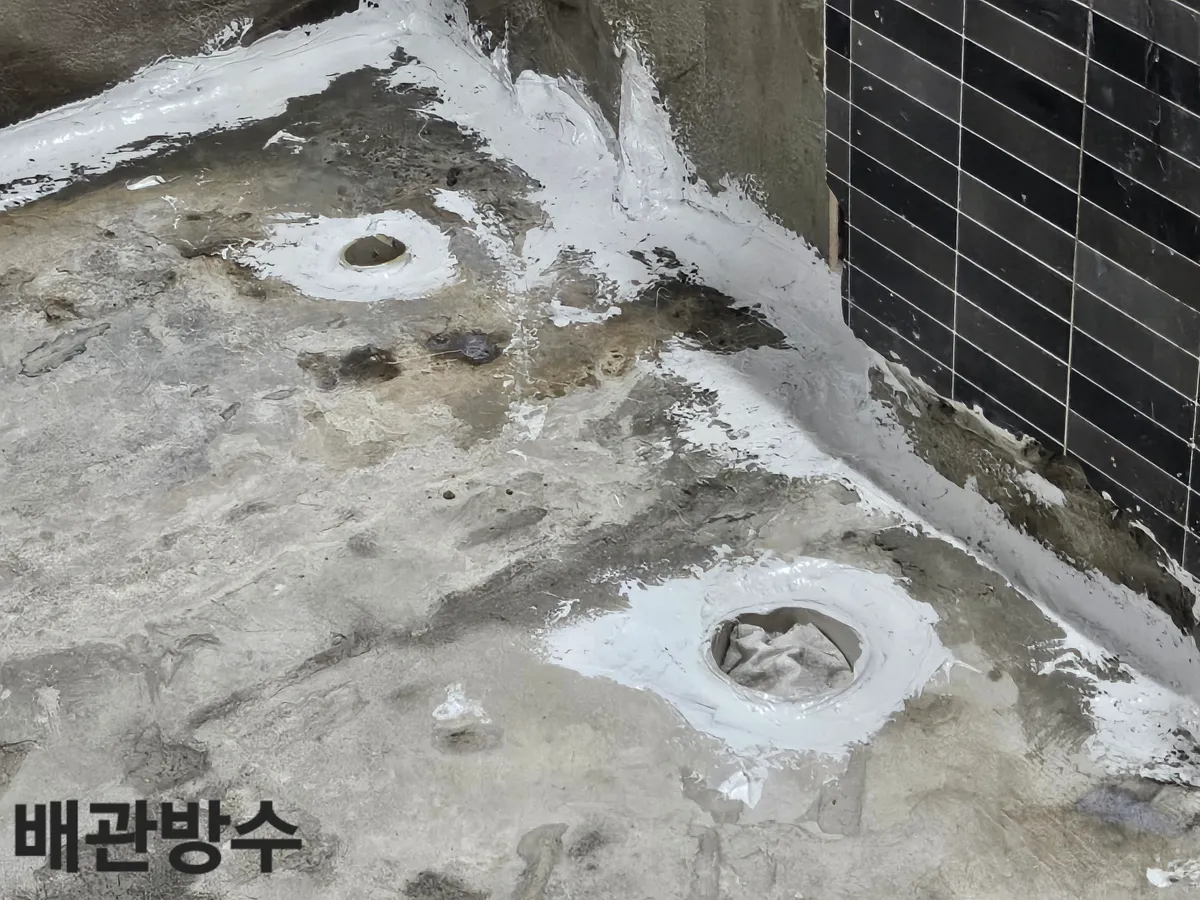 이미지 8