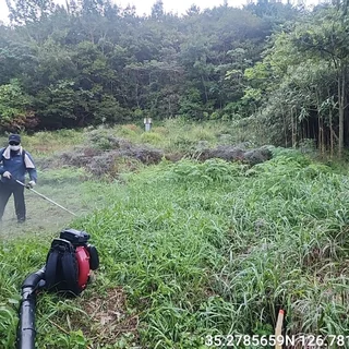 전남 장성군 황룡면