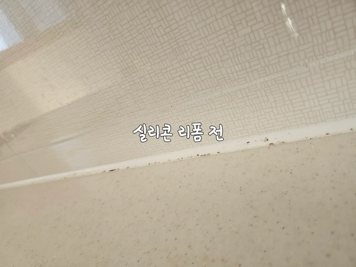 이미지 2