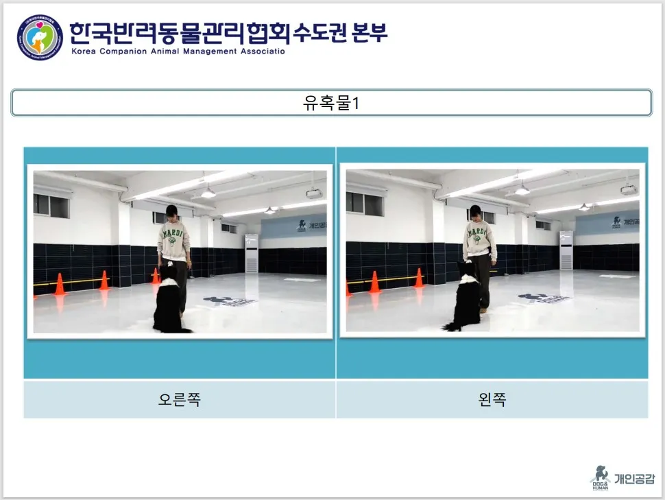 이미지 7