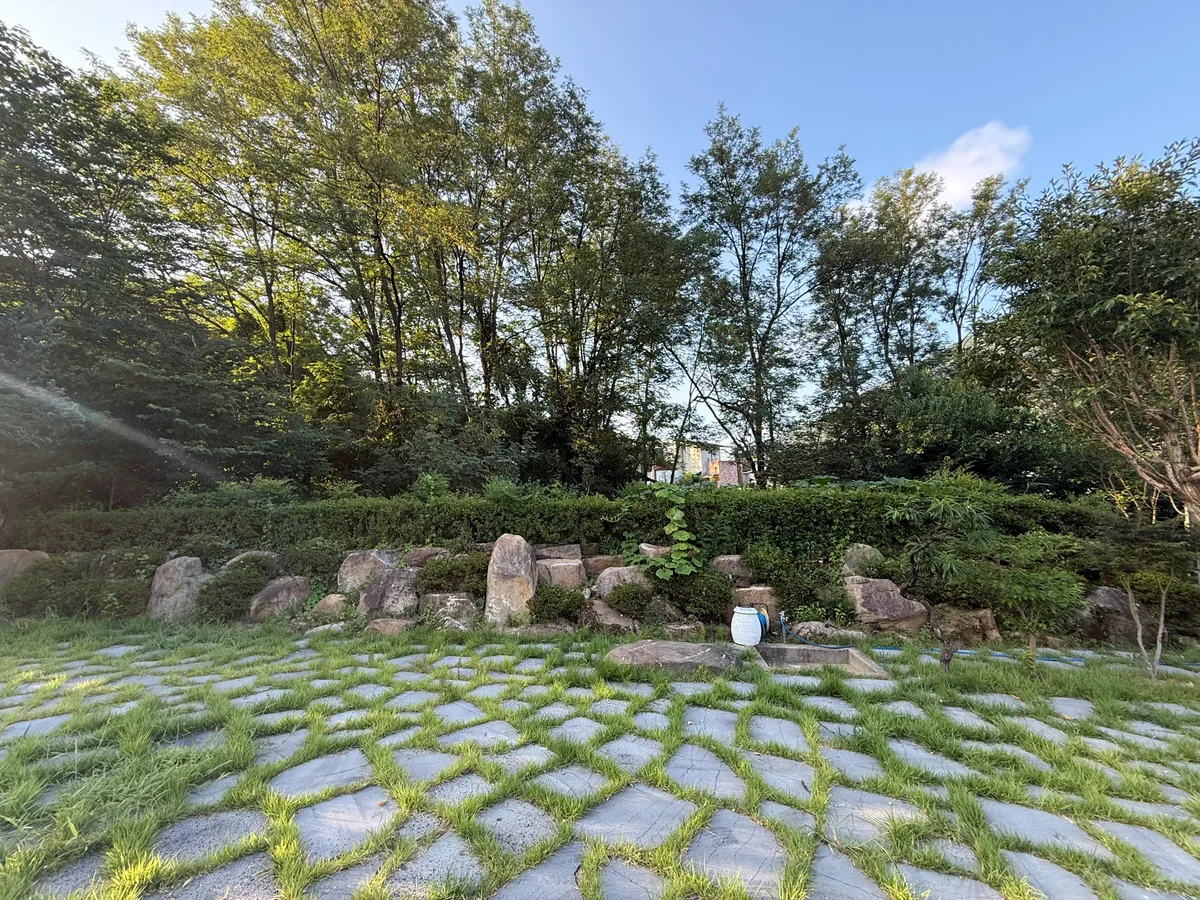이미지 16
