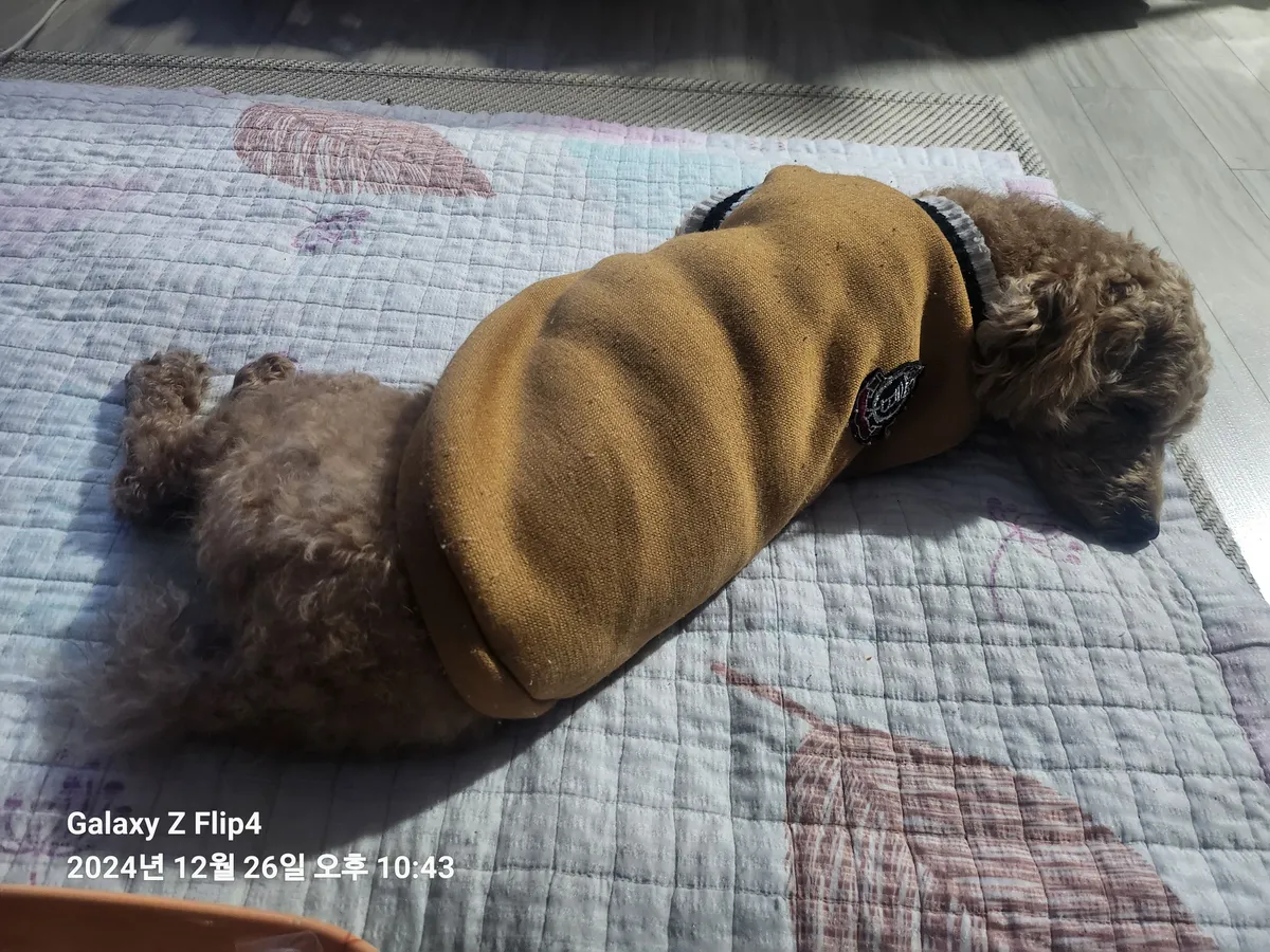 이미지 3