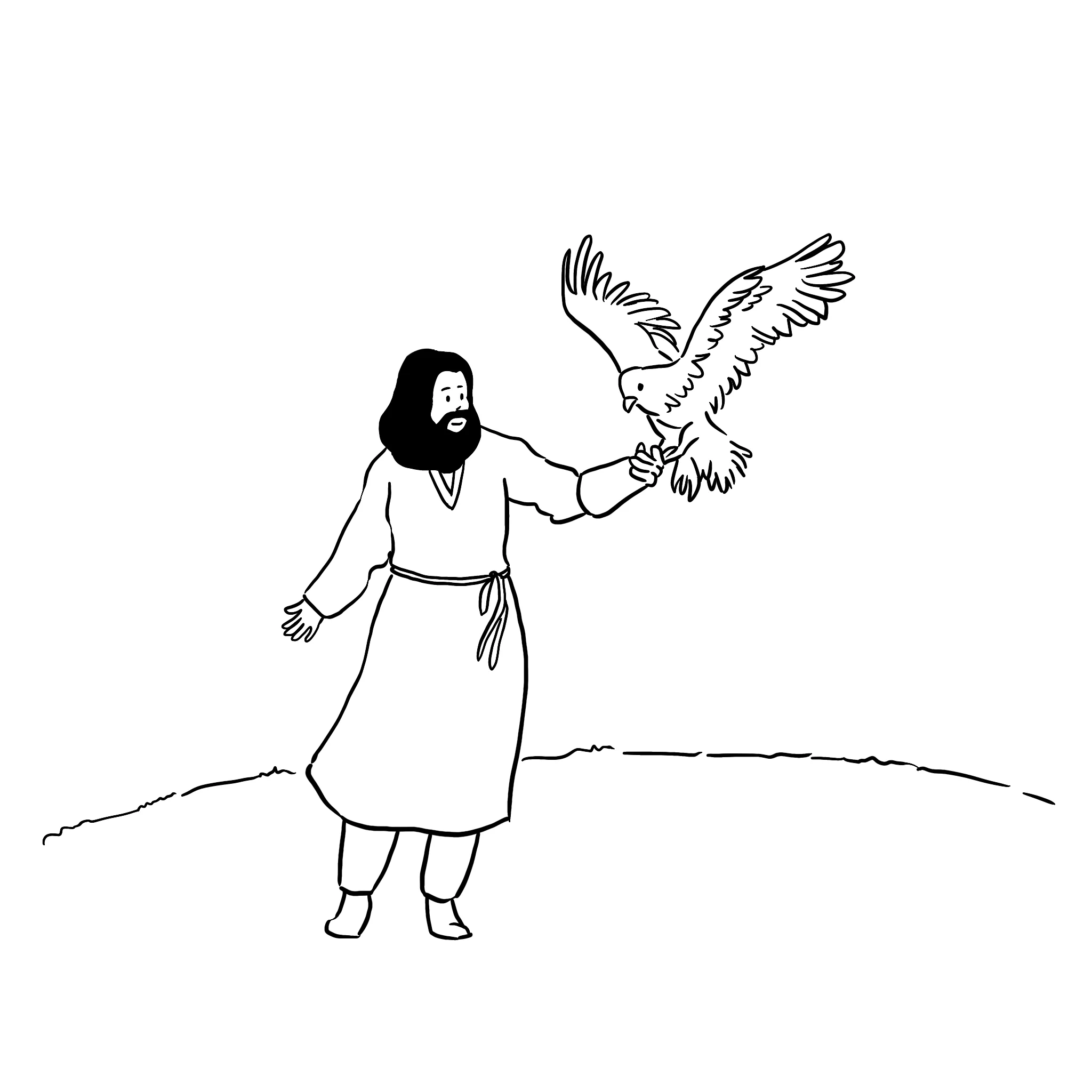 이미지 11