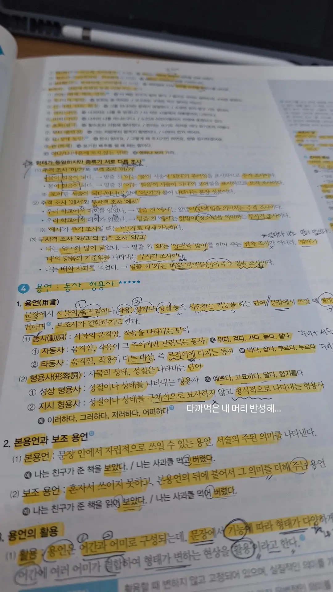 이미지 10