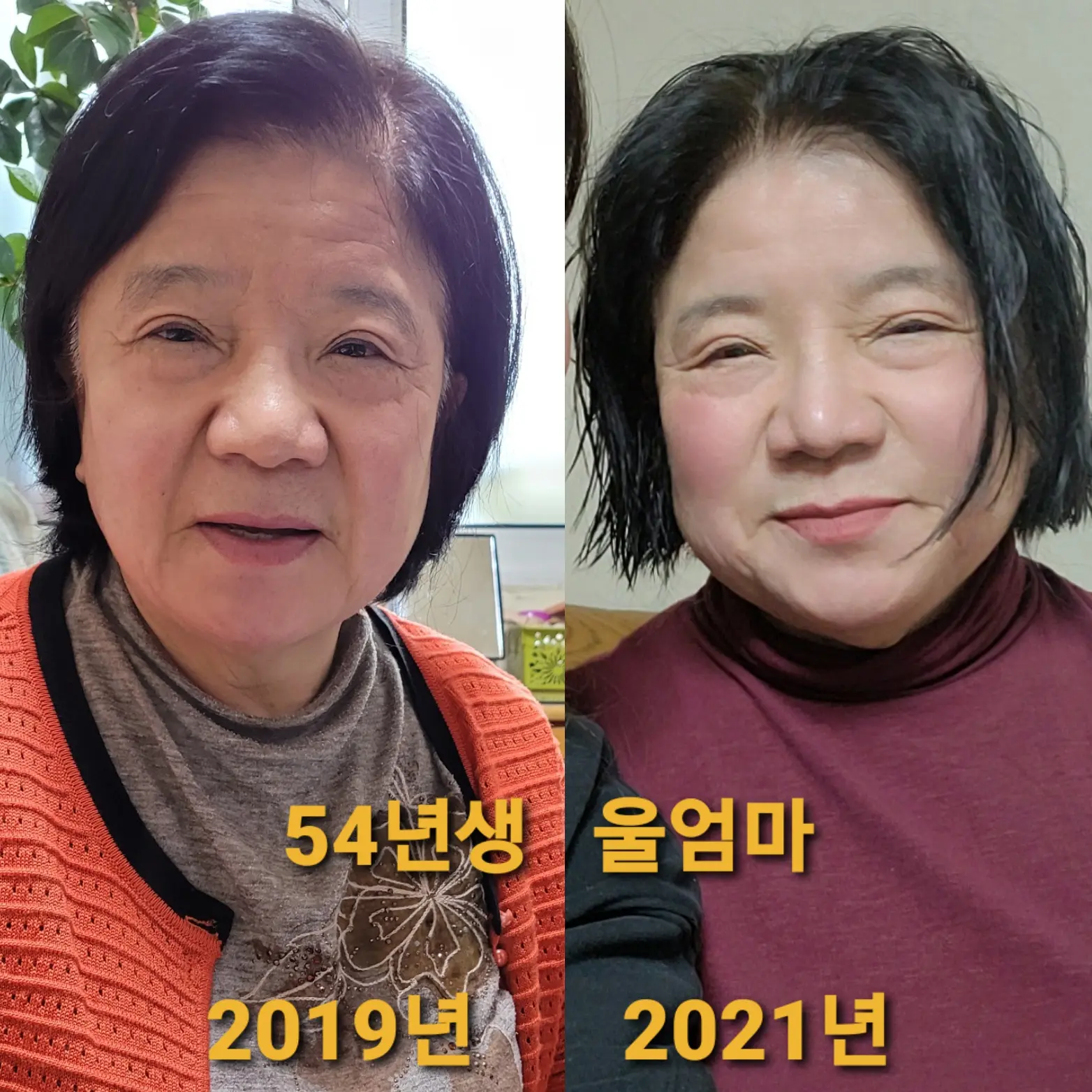 이미지 9