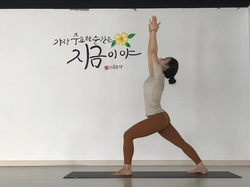 이미지 12
