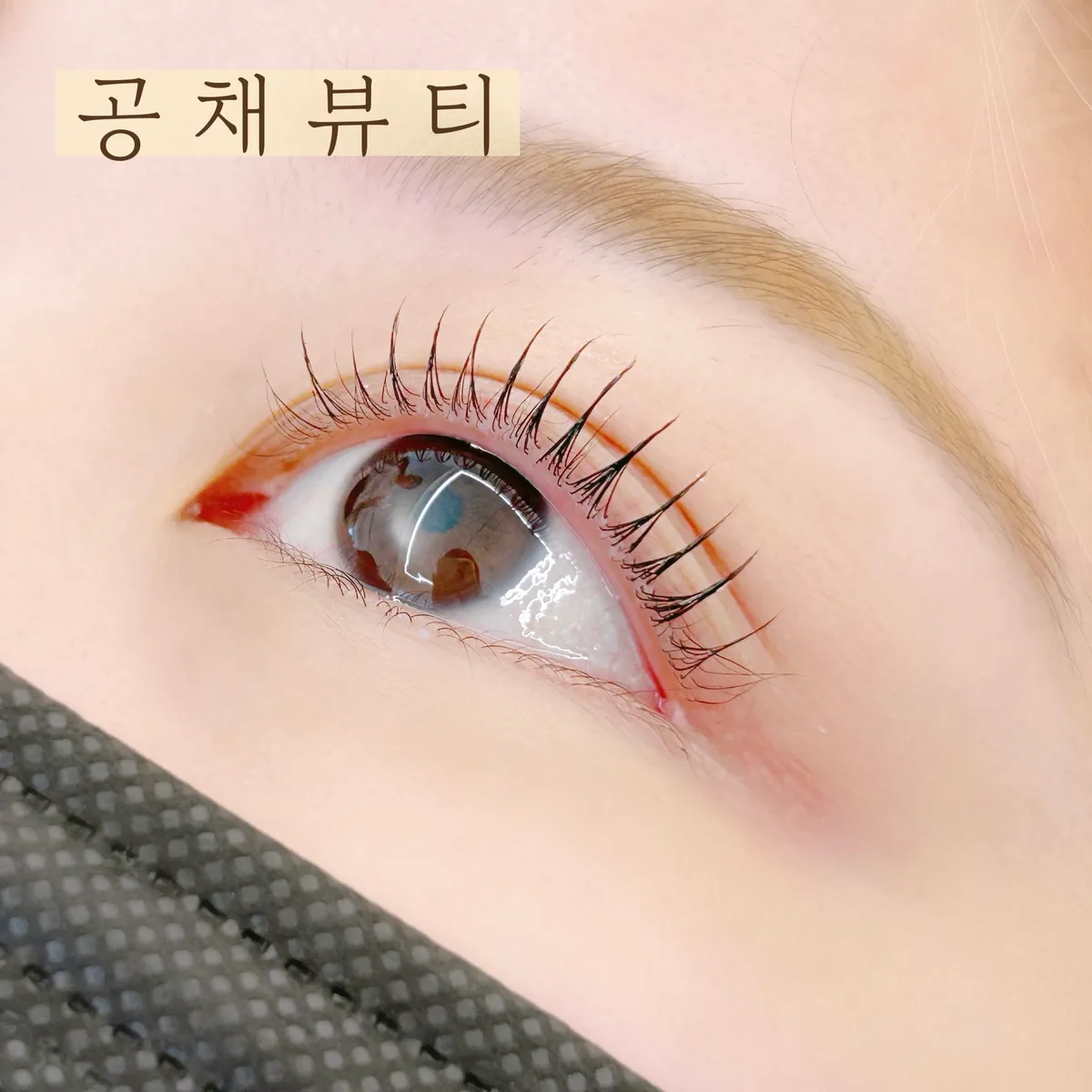 이미지 11