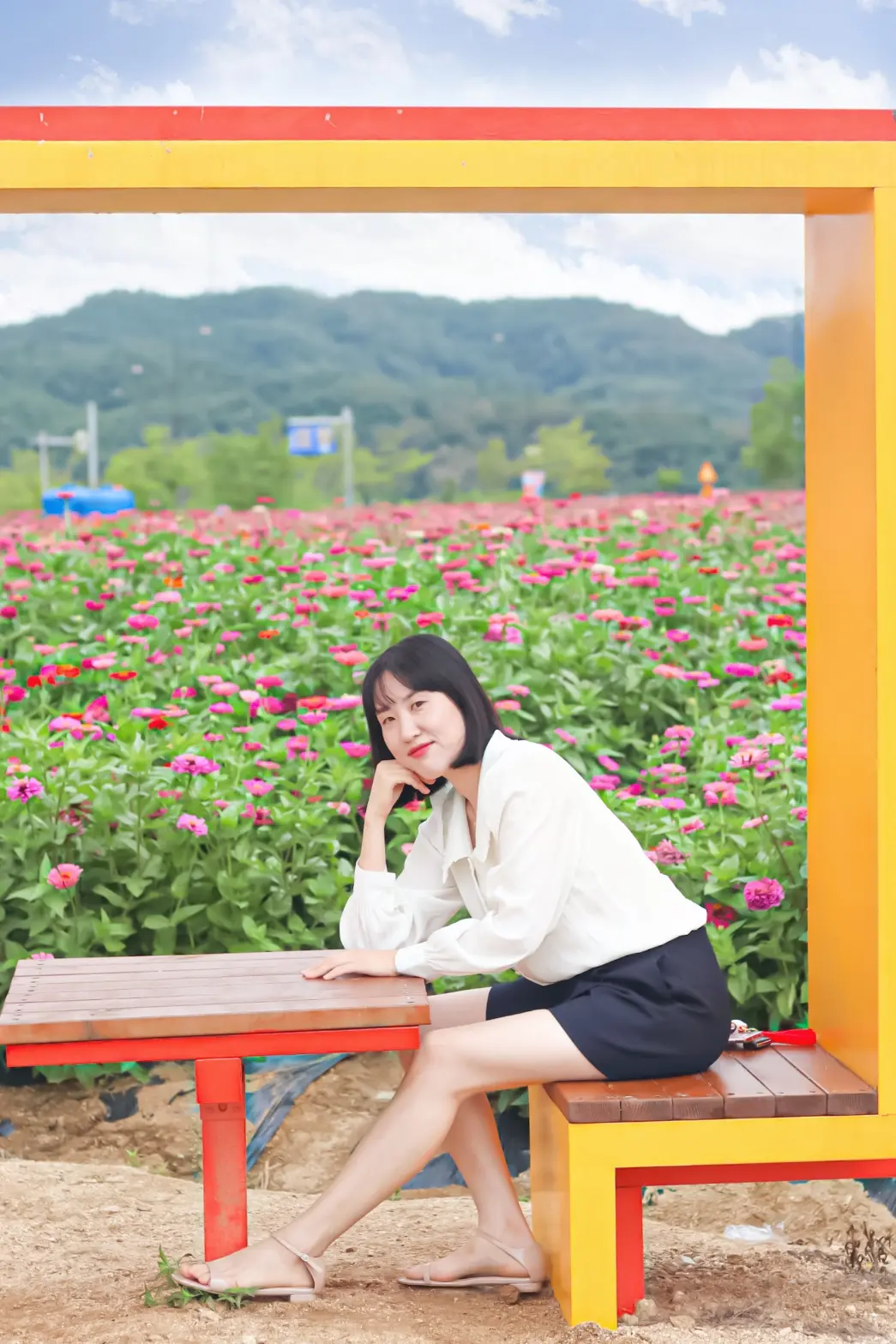 이미지 6