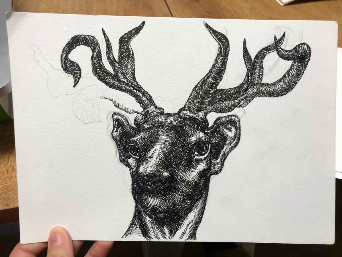 이미지 9
