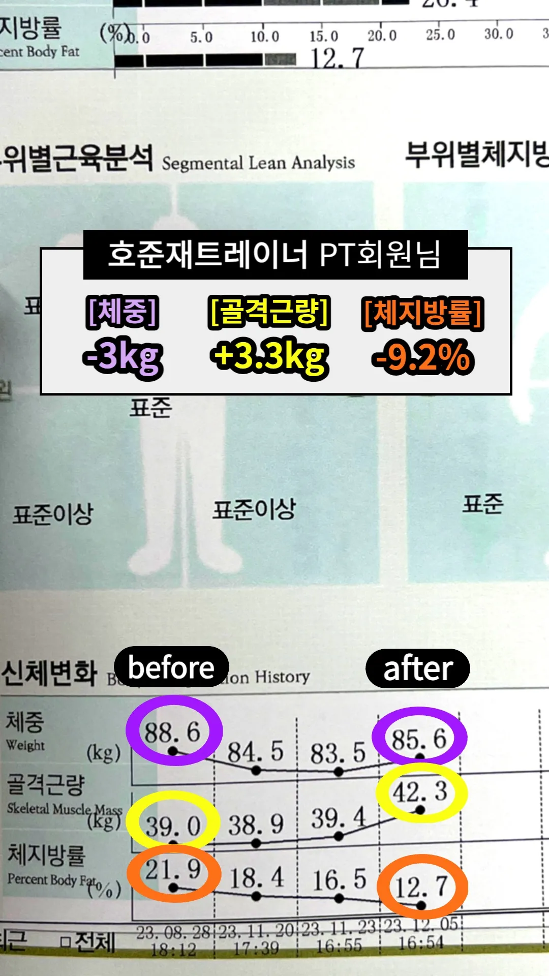이미지 12